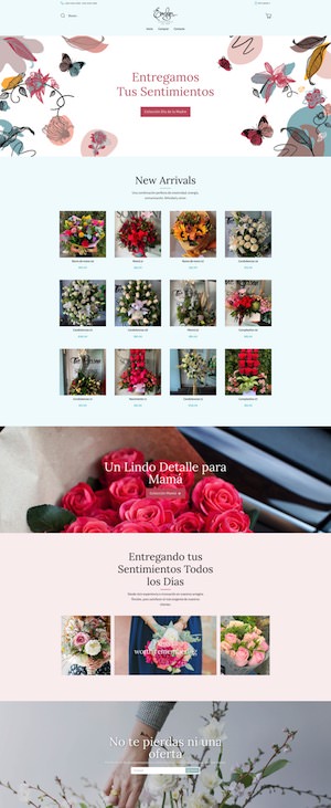 Captura de sitio web