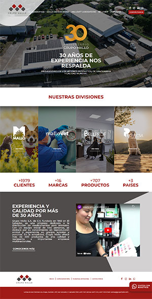 Captura de sitio web