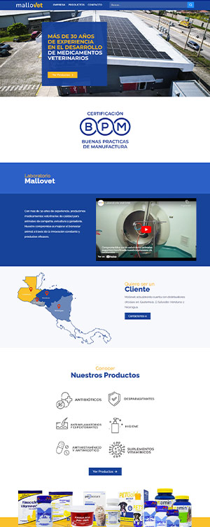 Captura de sitio web