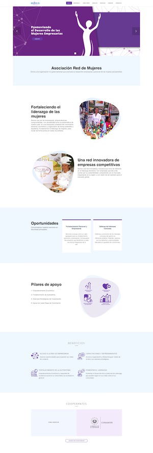 Captura de sitio web